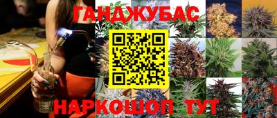 крисы Тула