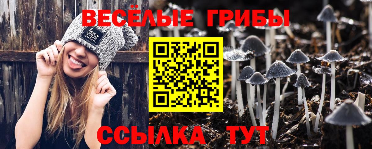 Псилоцибиновые грибы мухоморы  Вход с VPN  Полысаево 