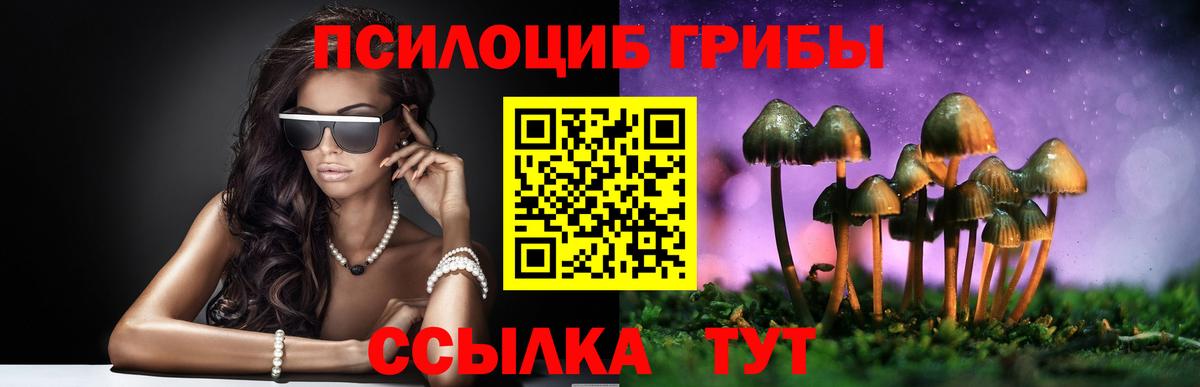 Галлюциногенные грибы прущие грибы Полысаево